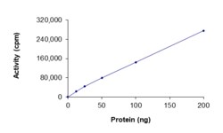 Sino Biological&nbsp;Recombinant Human EGFR Protein (d747-749, GST Tag), Active
